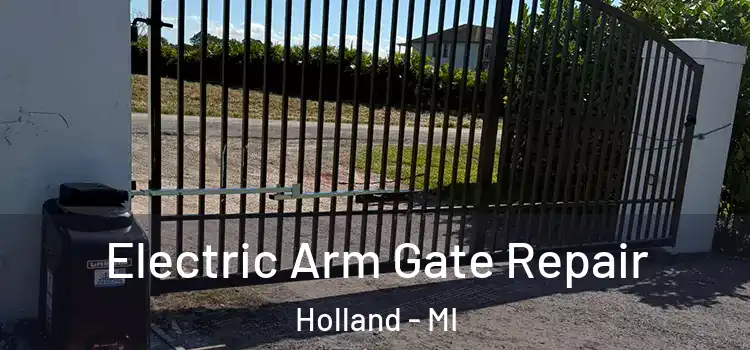 Electric Arm Gate Repair Holland - MI