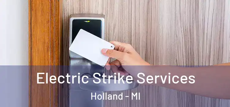  Electric Strike Services Holland - MI