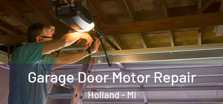  Garage Door Motor Repair Holland - MI