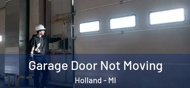  Garage Door Not Moving Holland - MI