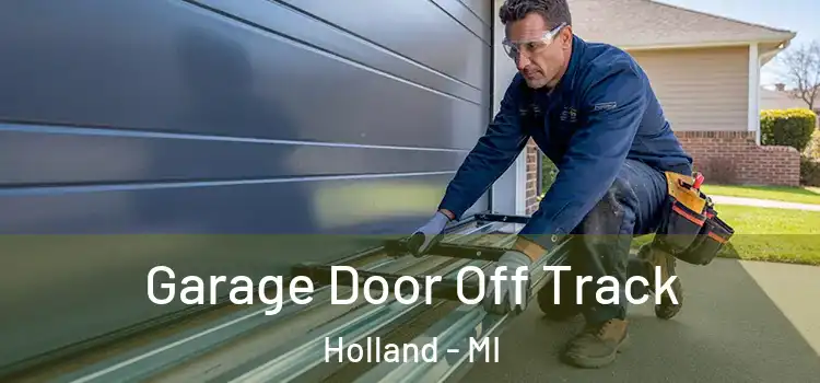  Garage Door Off Track Holland - MI