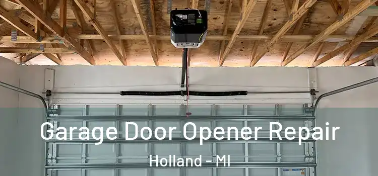  Garage Door Opener Repair Holland - MI