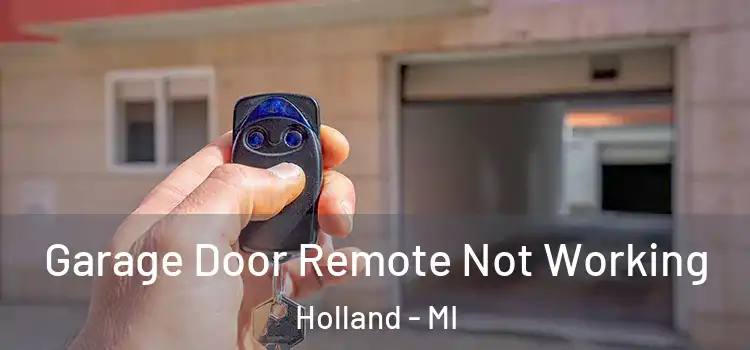  Garage Door Remote Not Working Holland - MI