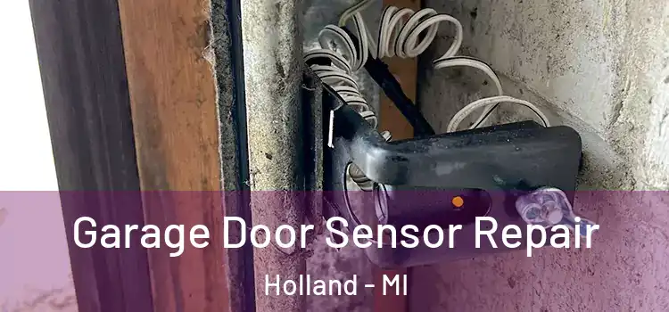 Garage Door Sensor Repair Holland - MI