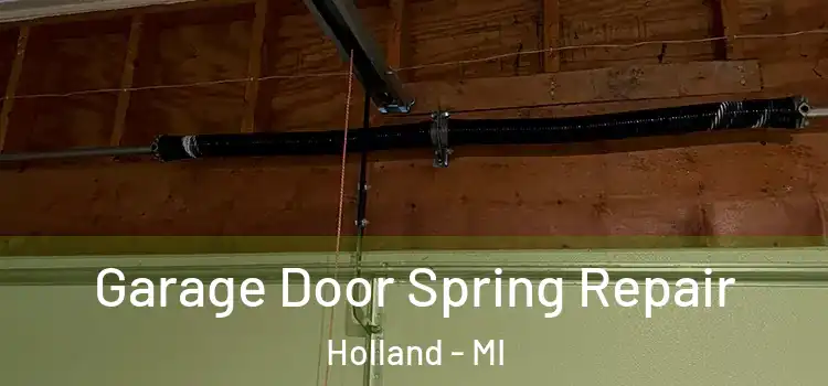  Garage Door Spring Repair Holland - MI