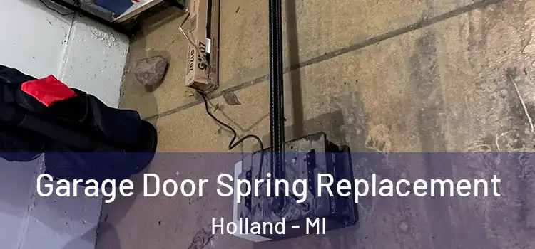  Garage Door Spring Replacement Holland - MI