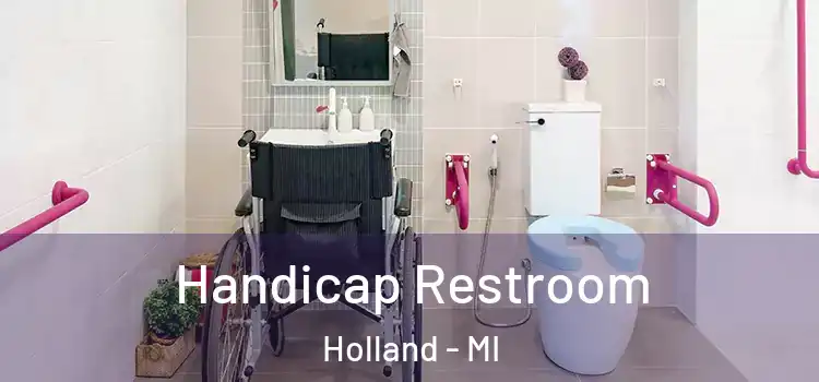  Handicap Restroom Holland - MI