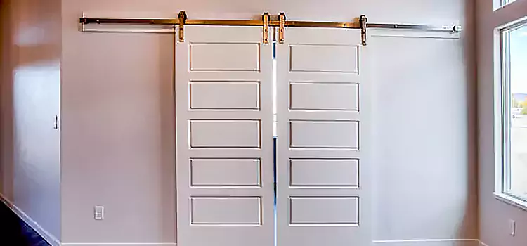 Glass Barn Door with Installation Hardware Kit Holland
