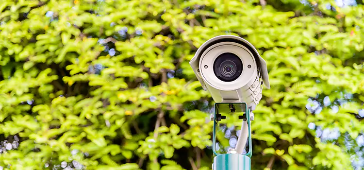 Advanced Surveillance Solutions for Every Need in Holland