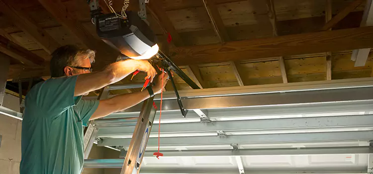 Garage Door Opener Sales and Installation Holland