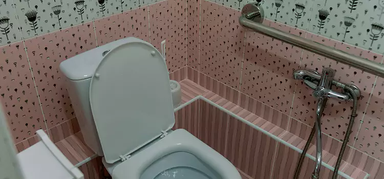 Meeting Diverse Needs With Accessible Restroom Solutions in Holland, MI