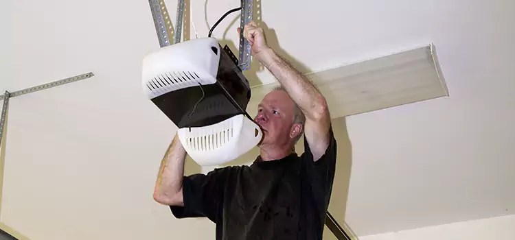 Garage Door Opener Service Holland