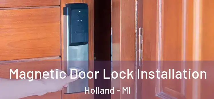  Magnetic Door Lock Installation Holland - MI