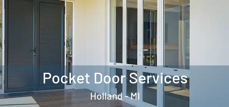  Pocket Door Services Holland - MI