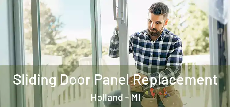  Sliding Door Panel Replacement Holland - MI
