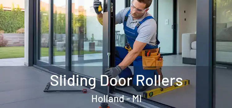 Sliding Door Rollers Holland - MI