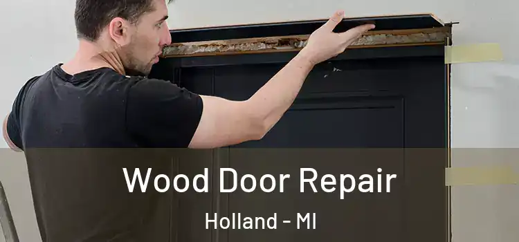  Wood Door Repair Holland - MI